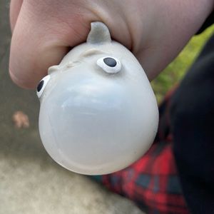 Meet your Posher, Katherine